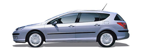 PEUGEOT 407 SW Einspritzdusen