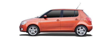 SKODA FABIA II Einspritzdusen