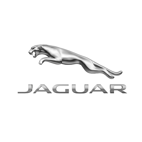 JAGUAR Einspritzdusen
